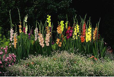 《超次元游戏海王星姐妹vs姐妹》Xbox版延期至5月21日发售